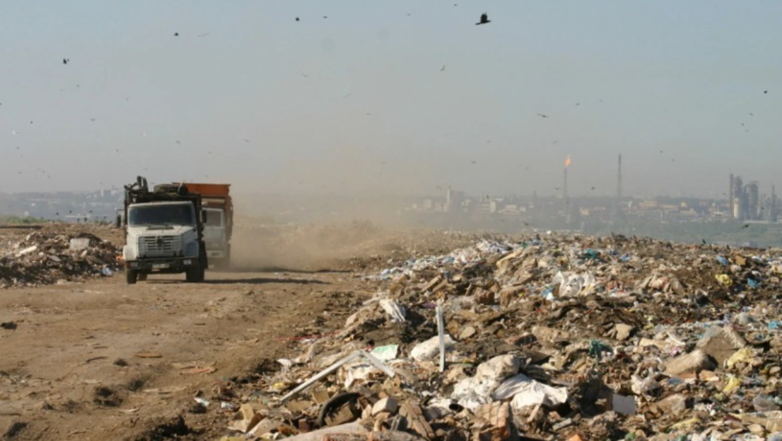 Валерия Шахова.