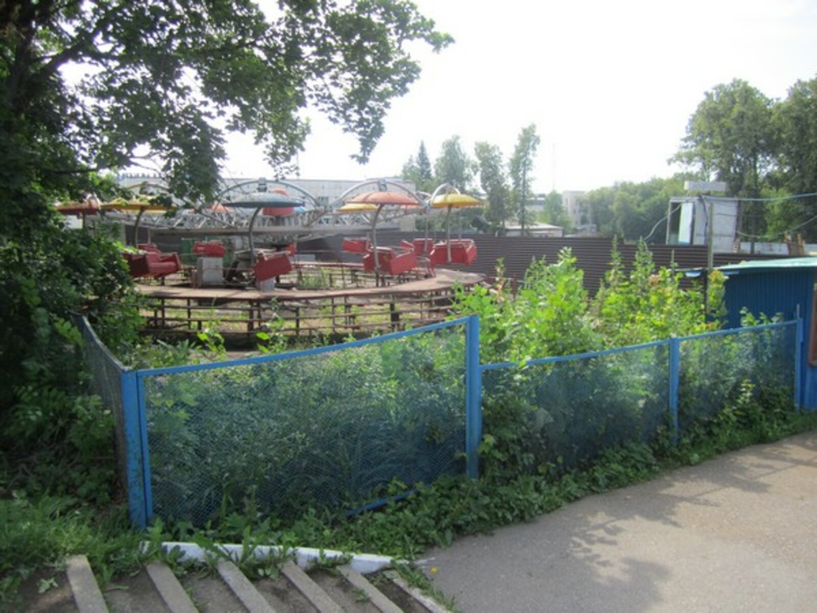 Фото автора.