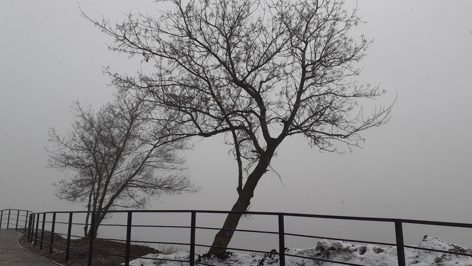 Владимира Шакиева. «Общественная электронная газета».