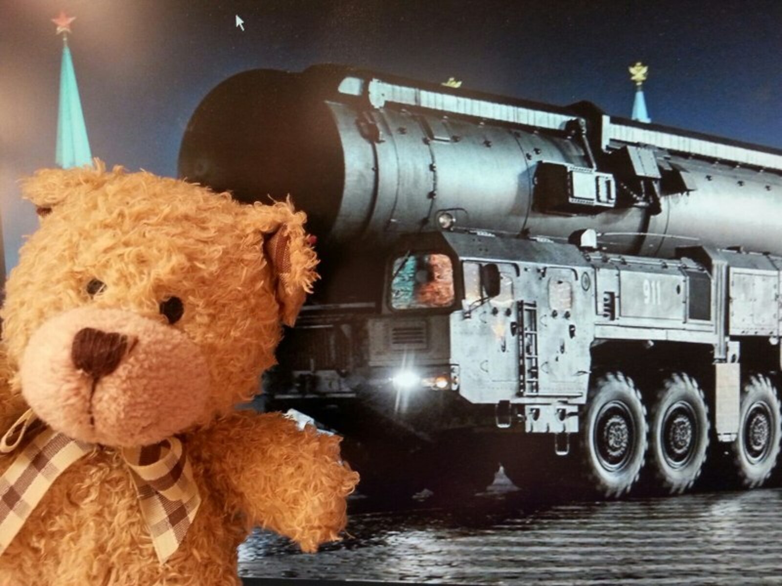 Фото Дарьи Святохиной.