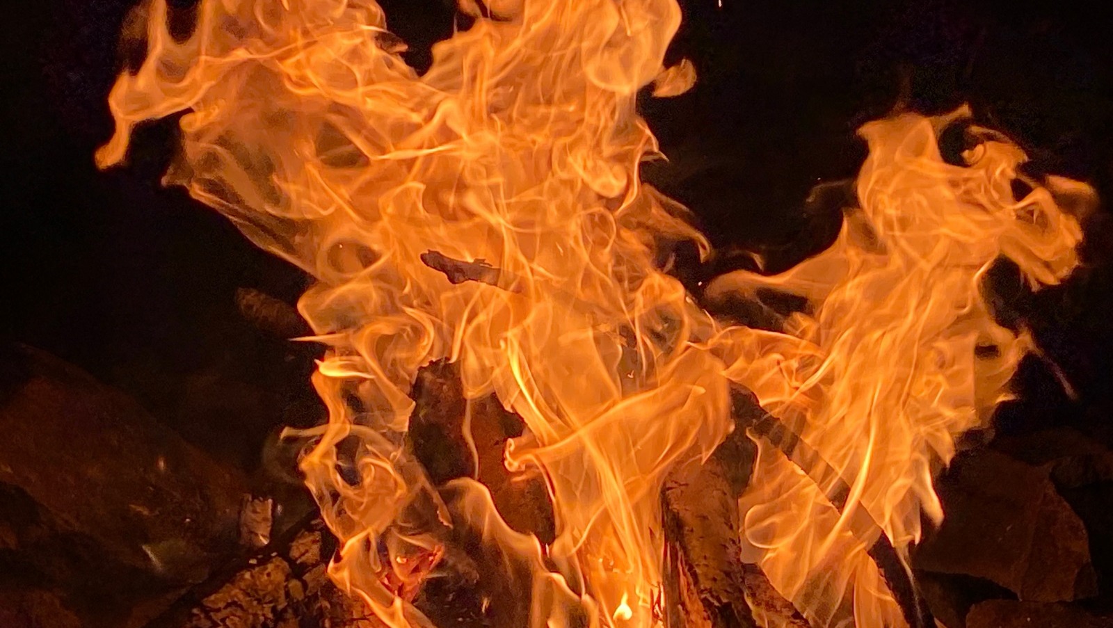 Елены Колоколовой.