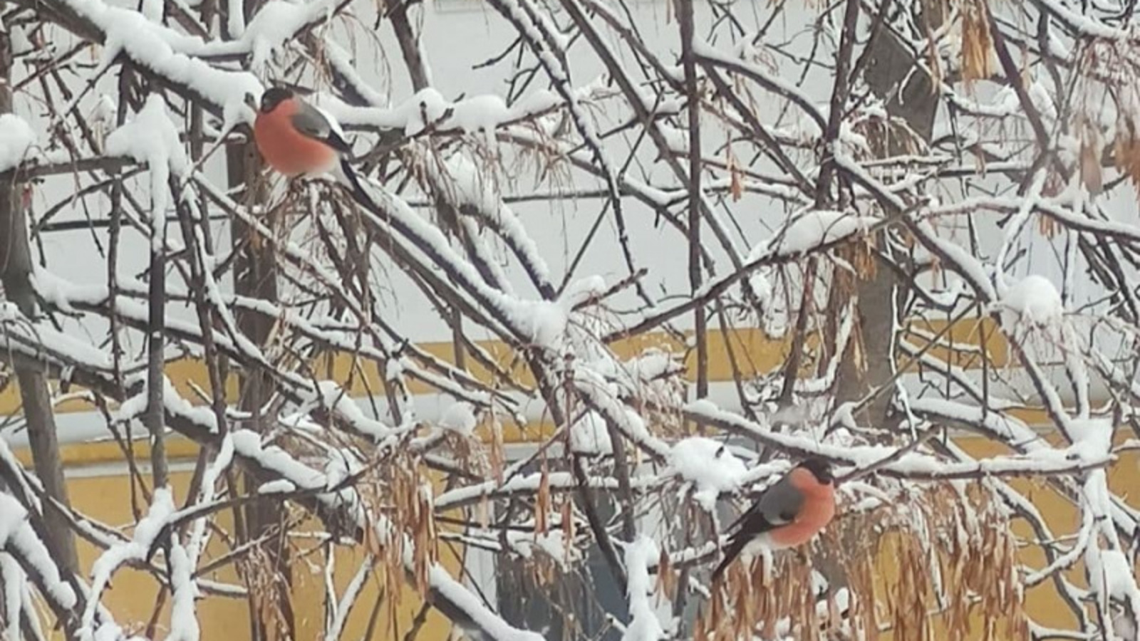 Фото автора.