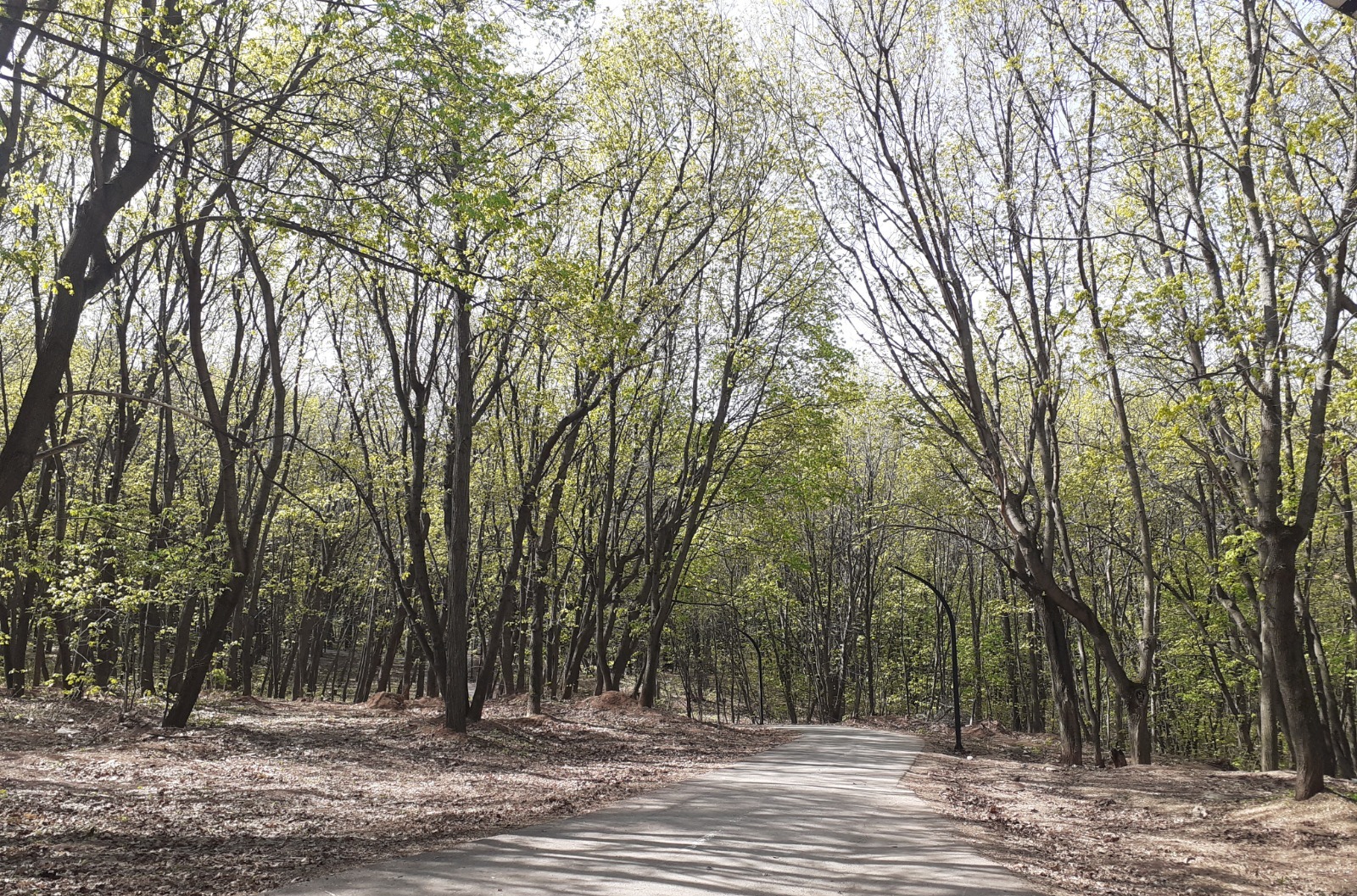 Владимира Шакиева.