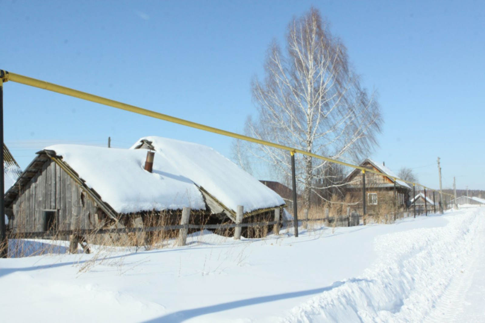 Фото Альмира Сибагатуллина.