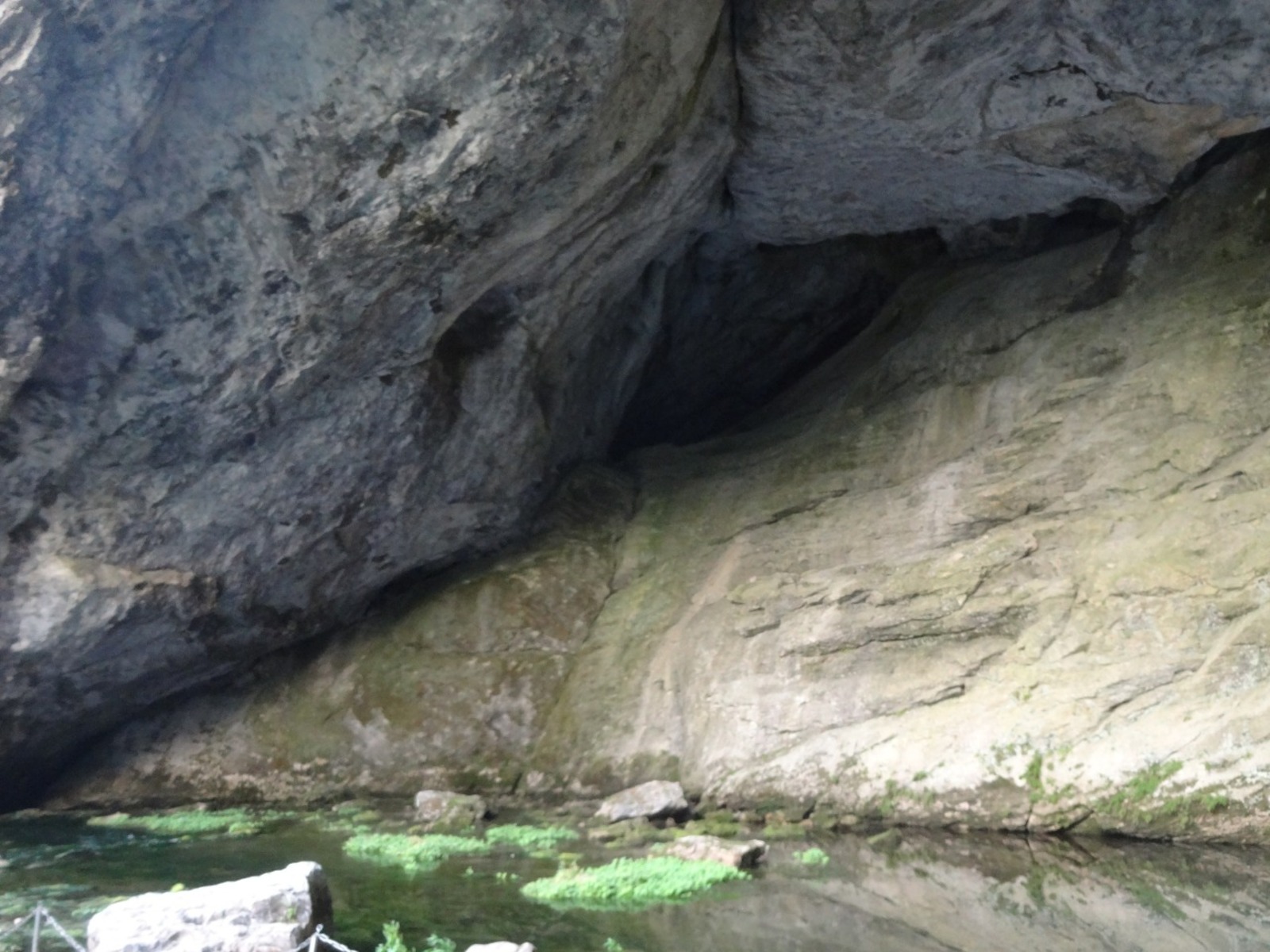 Елены Колоколовой.