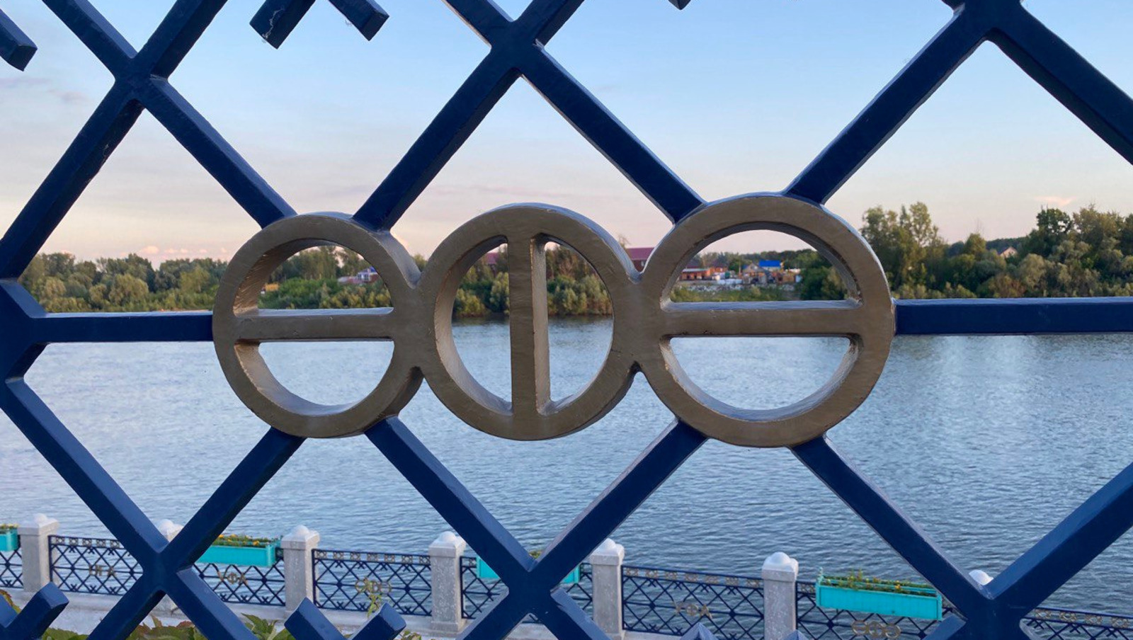 Елены Колоколовой.