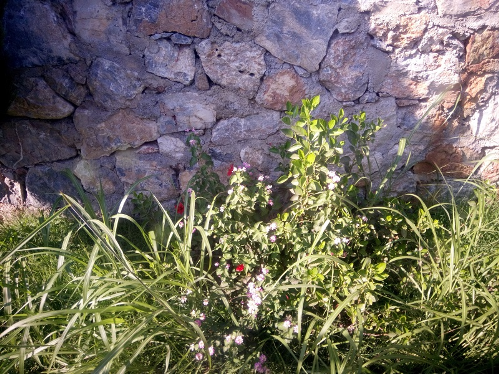 Фото Васили Саитовой.