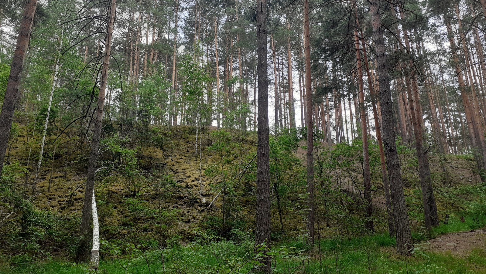 Владимира Шакиева.