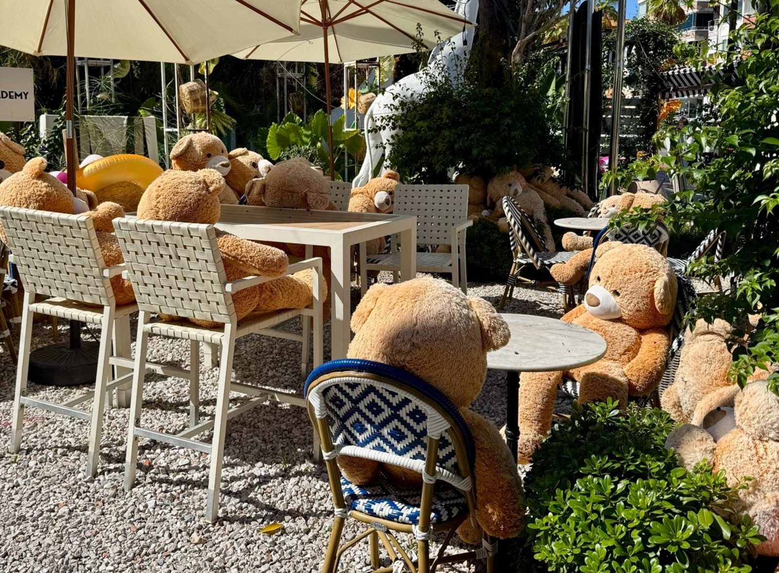 Елены Колоколовой. «Общественная электронная газета».