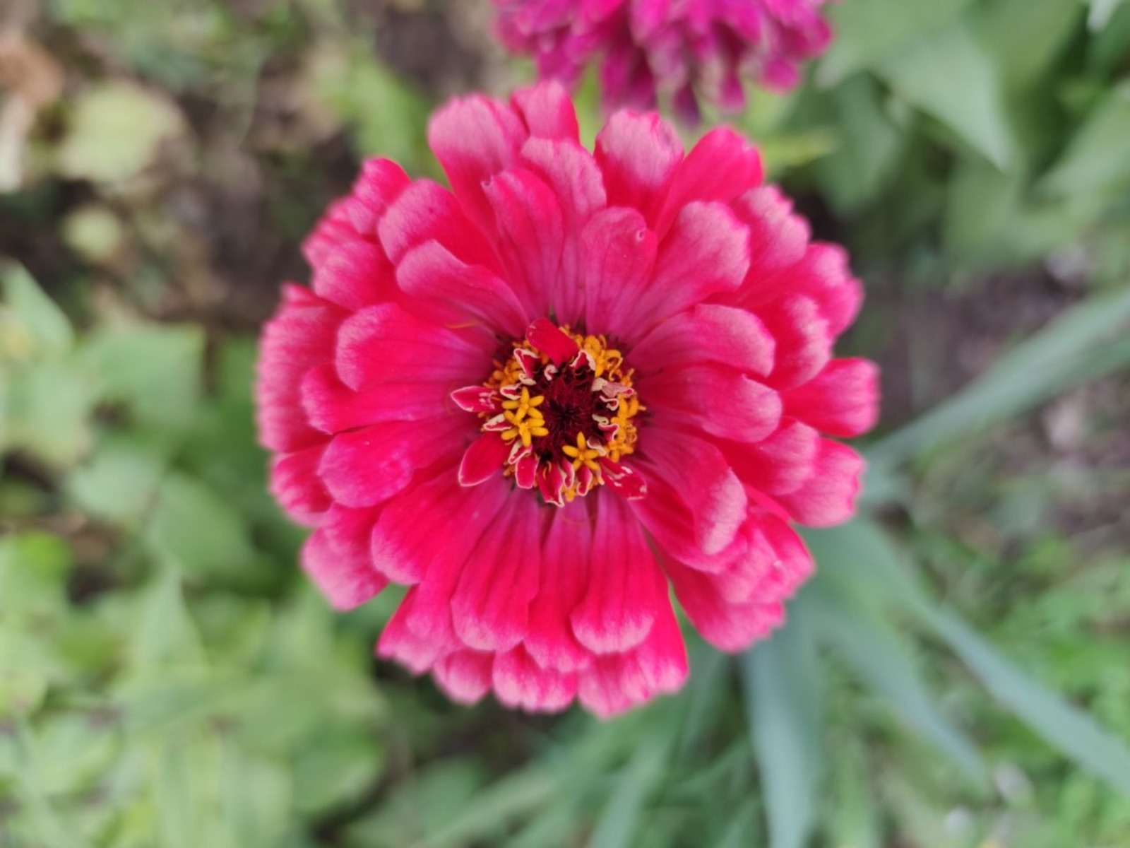 Дарьи Святохиной.