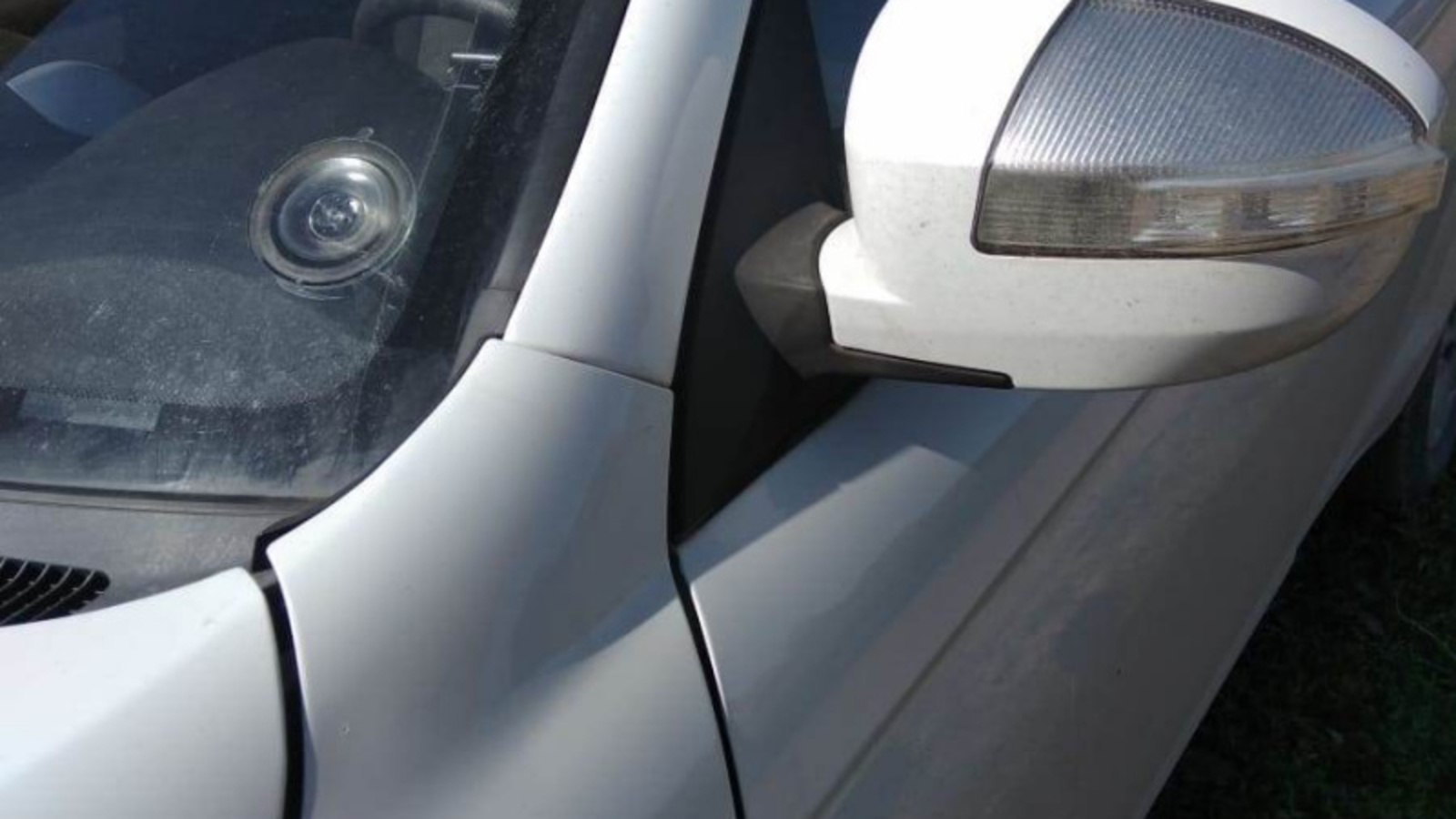 Фото Васили Саитовой.