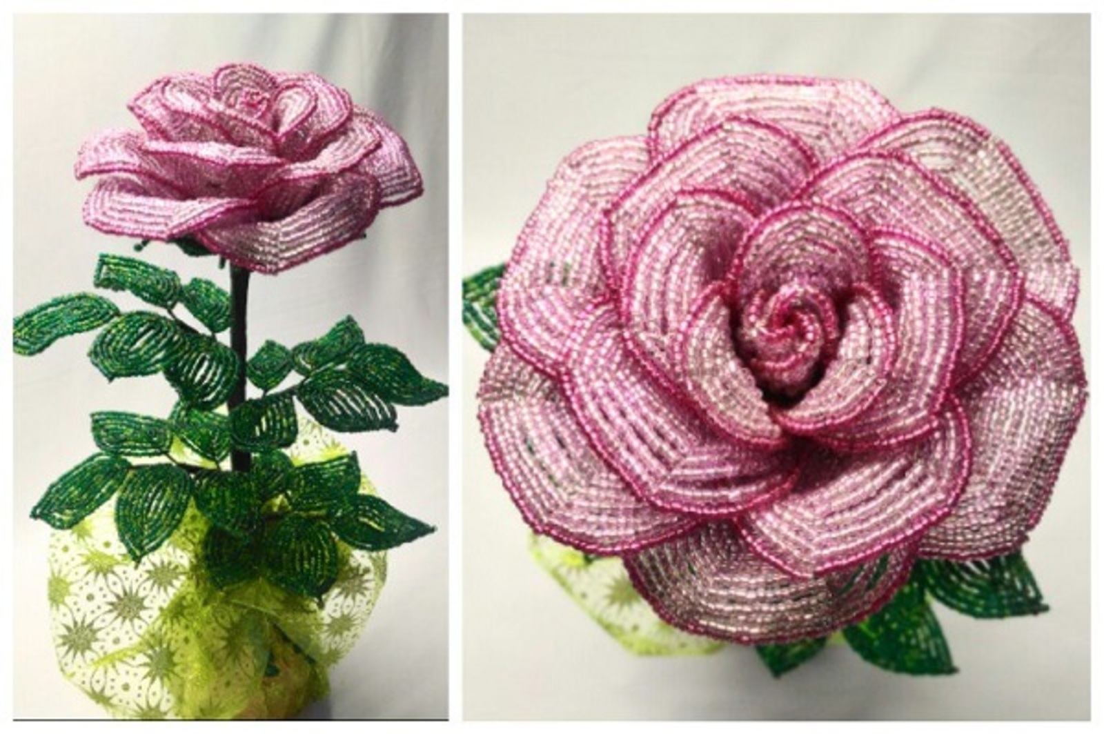 Фото предоставлено Ольгой Брагиной.