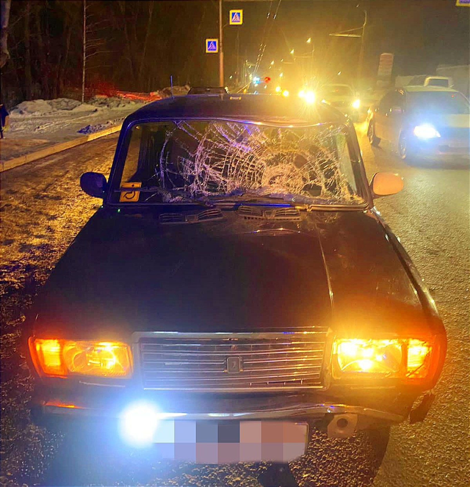 Teiegram, личная страница Владимира Севастьянова.