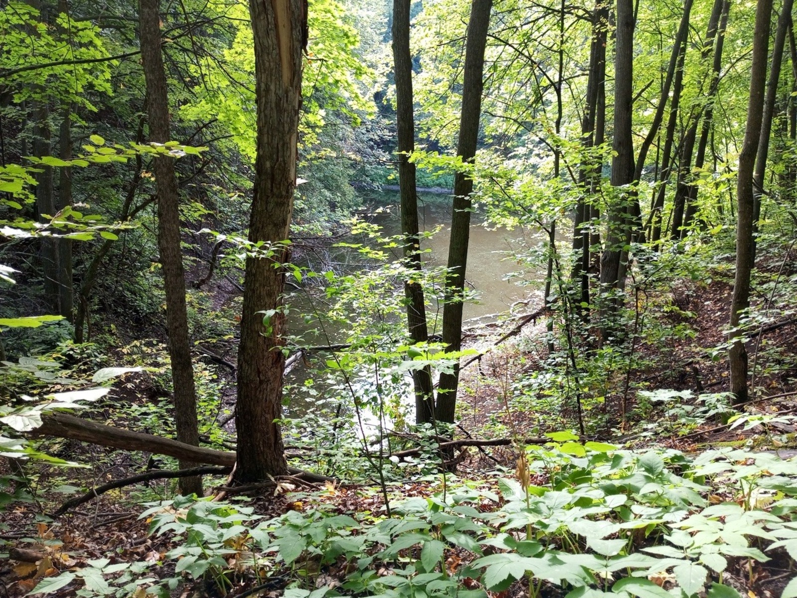 Евгении Сюткиной.