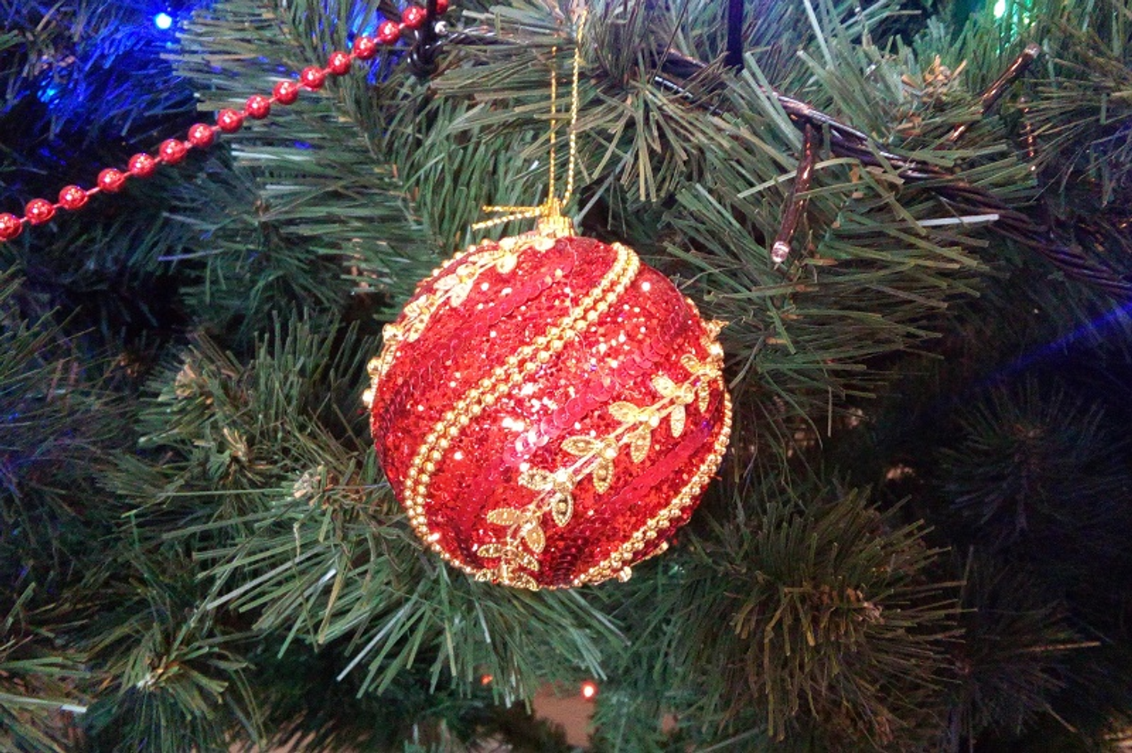 Фото автора.