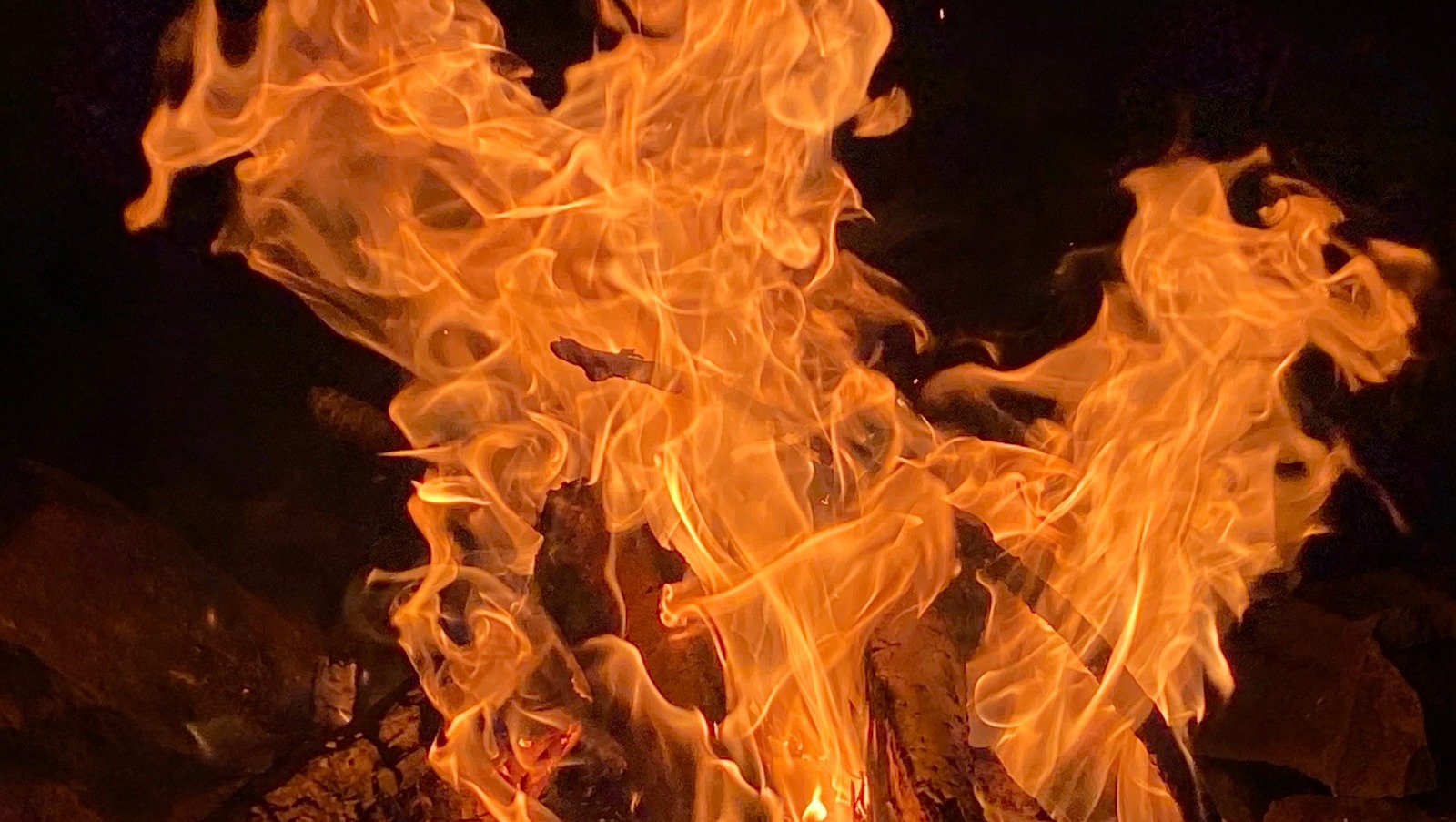 Елены Колоколовой.