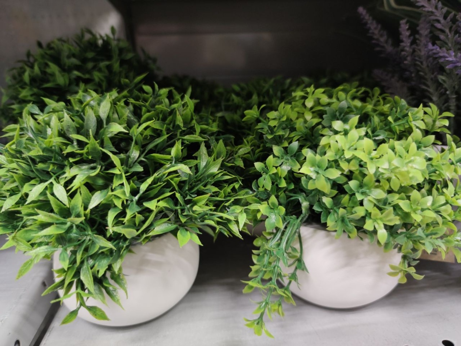 Дарьи Святохиной. «Общественная электронная газета».