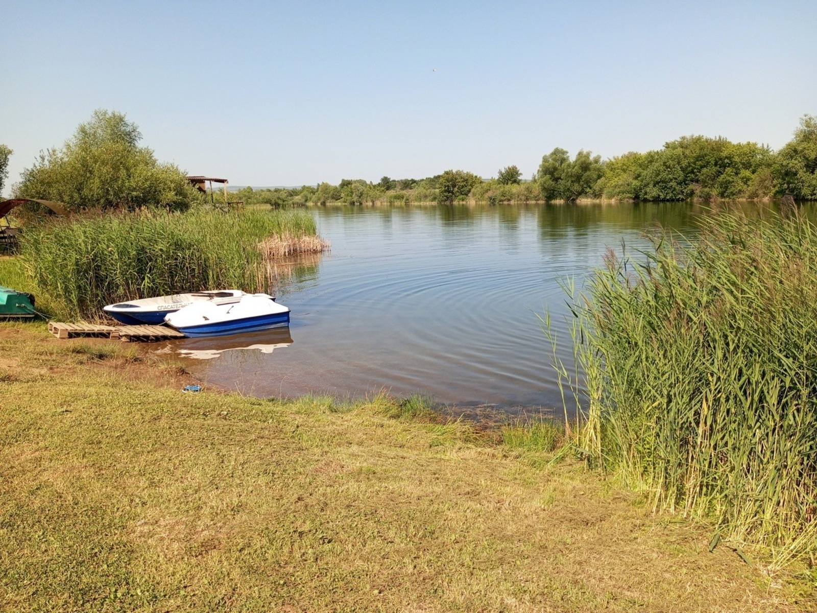 Евгении Сюткиной.