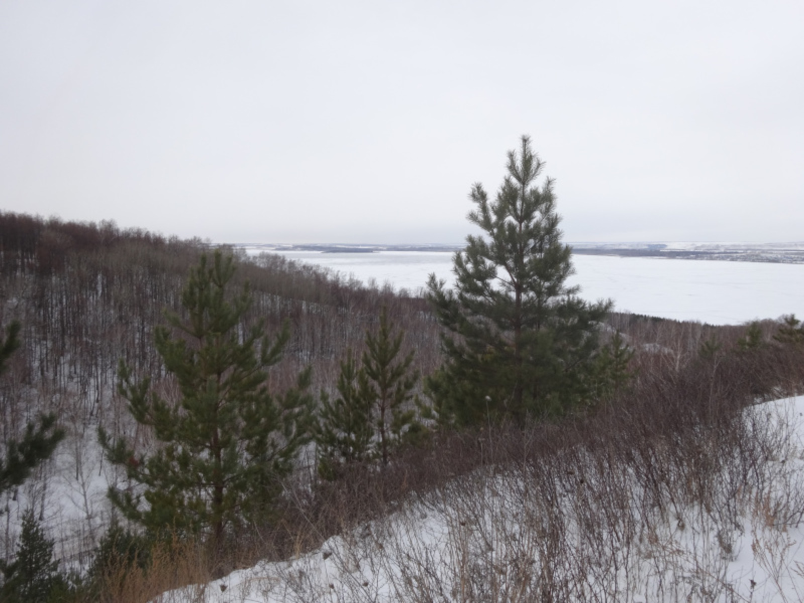 Фото Елены Колоколовой.