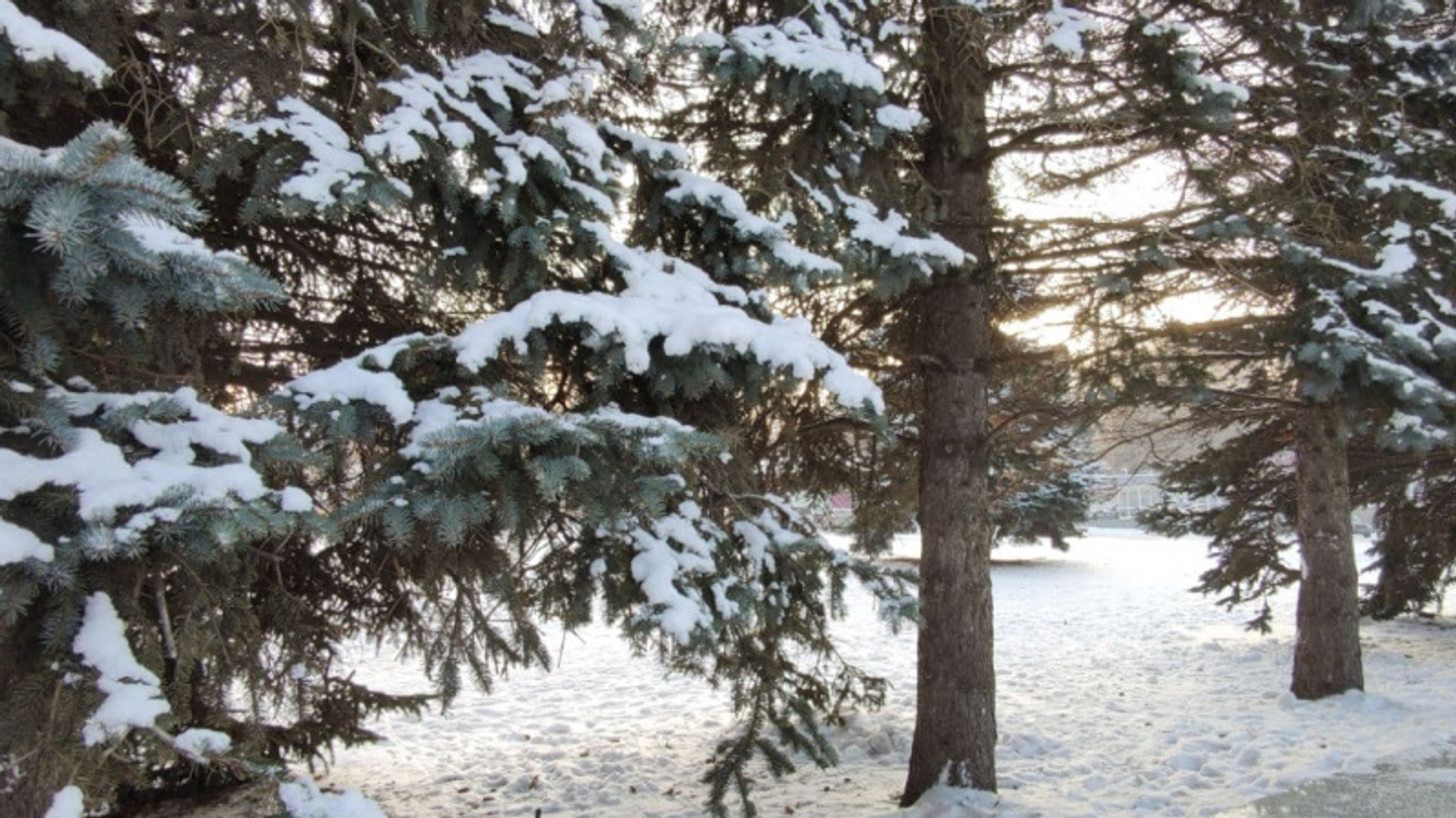 Фото автора.