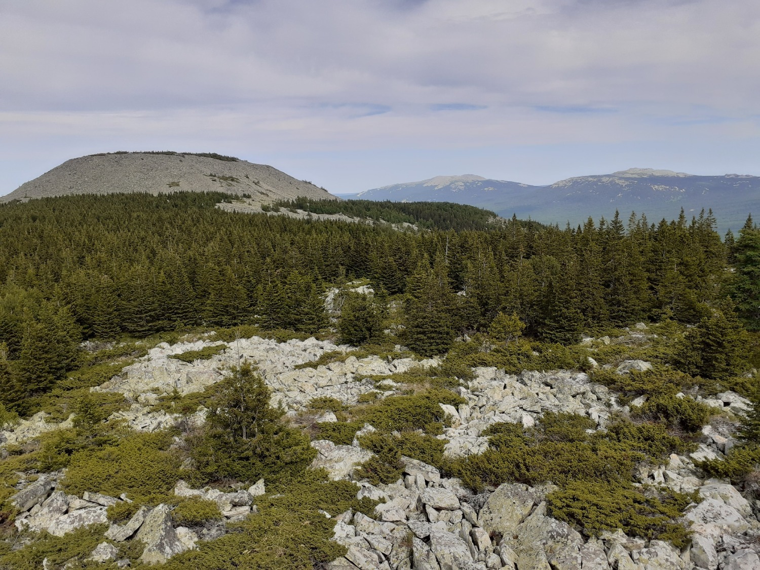 Владимира Шакиева.
