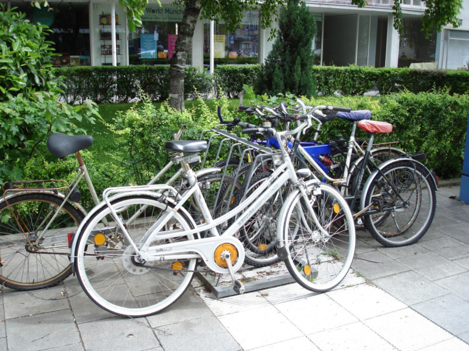 Фото автора.