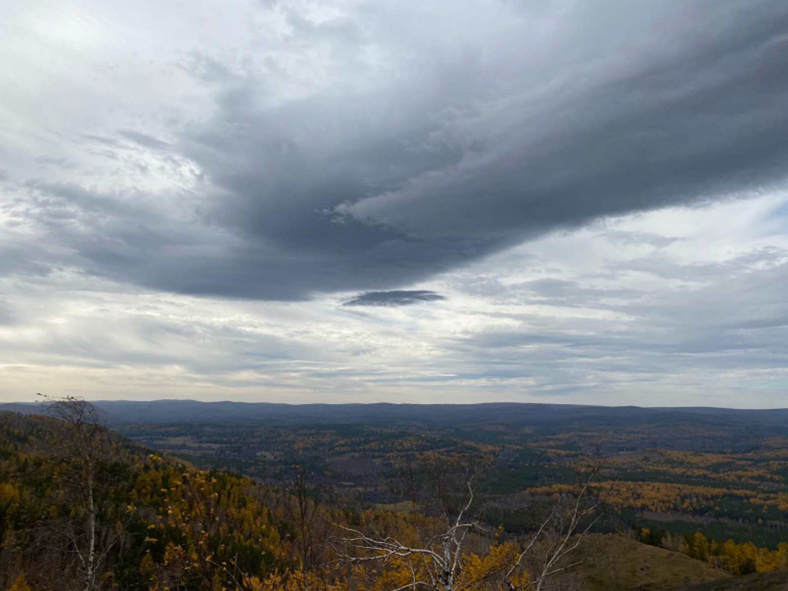 Фото автора.