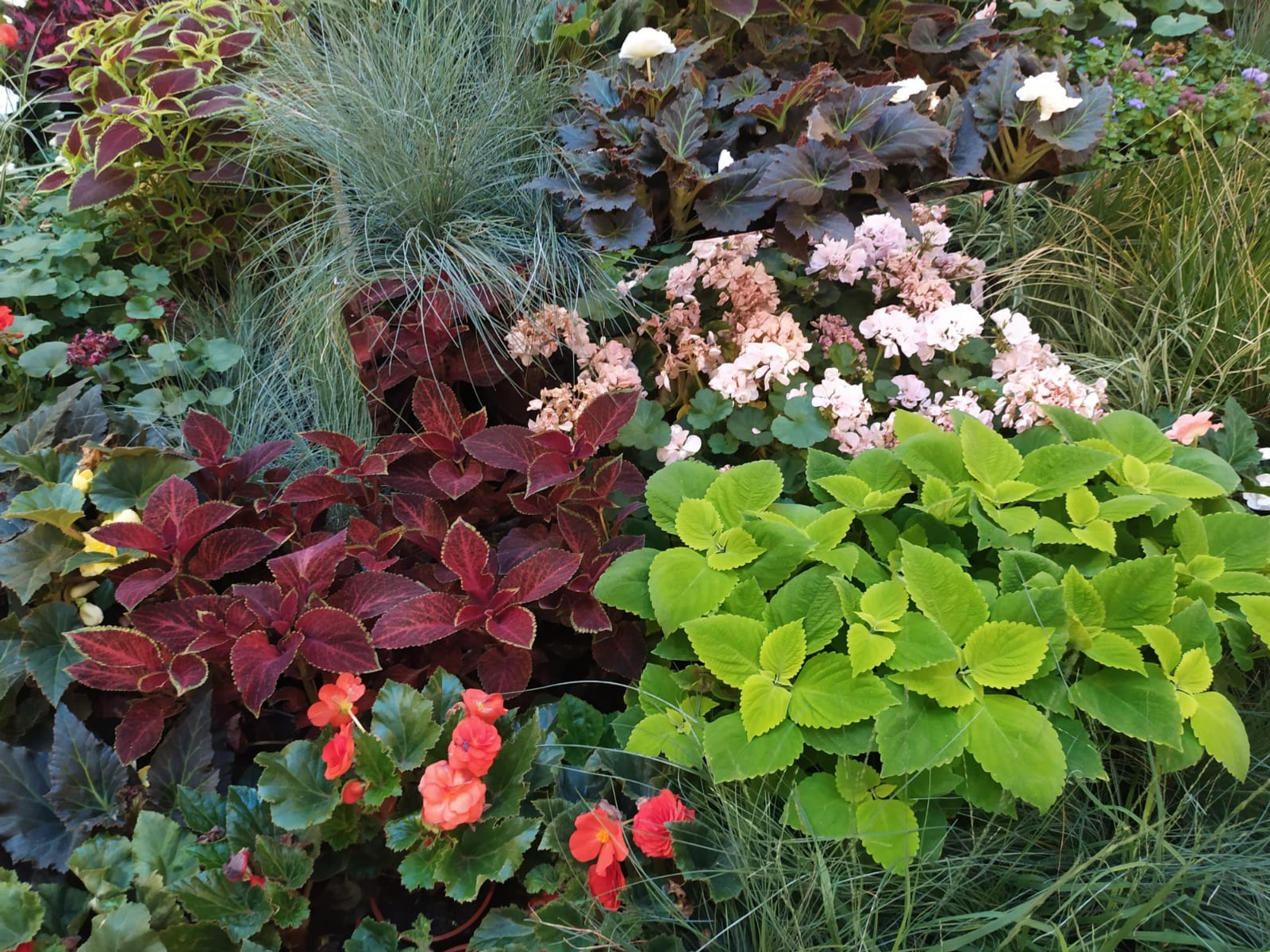 Васили Саитовой.