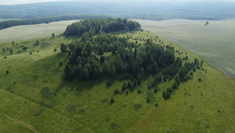 предоставлено организаторами проекта.