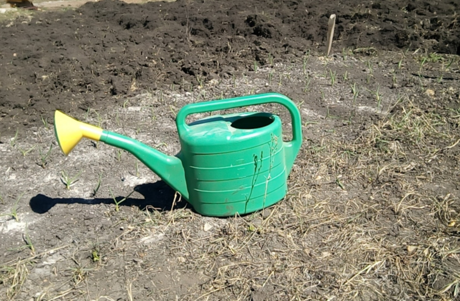 Фото Васили Саитовой.