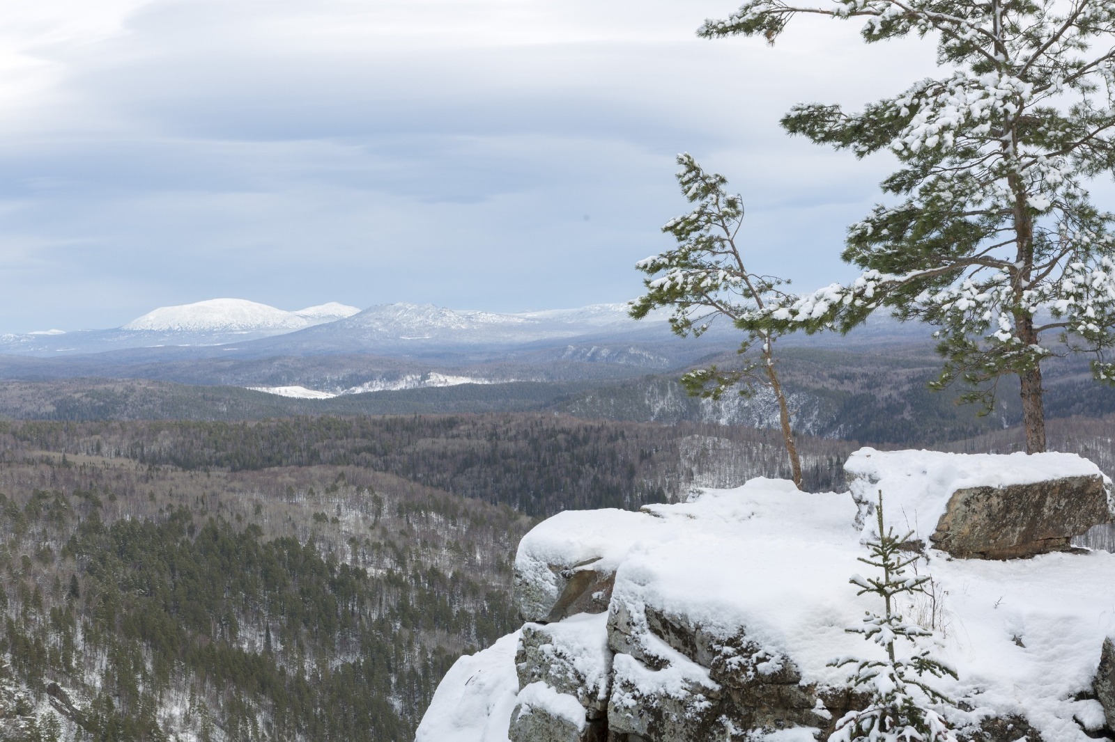 Евгении Сюткиной.