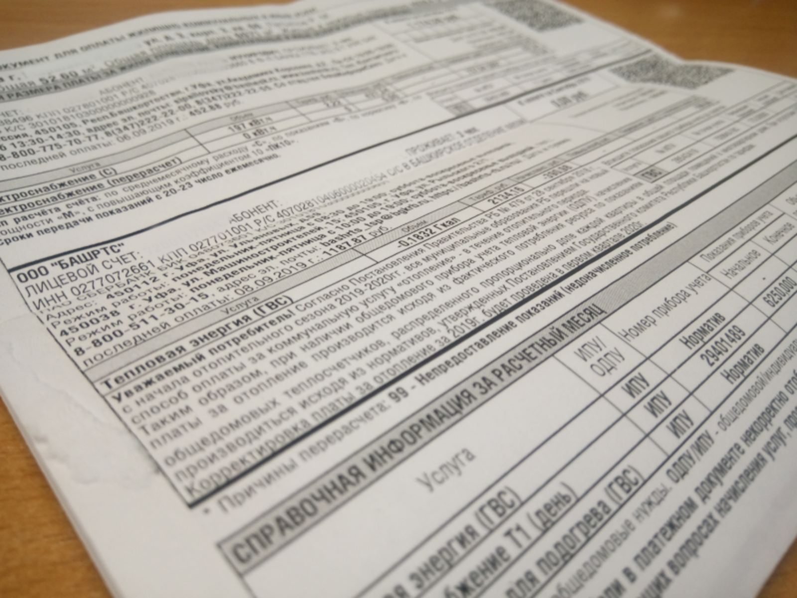 Фото Васили Саитовой.