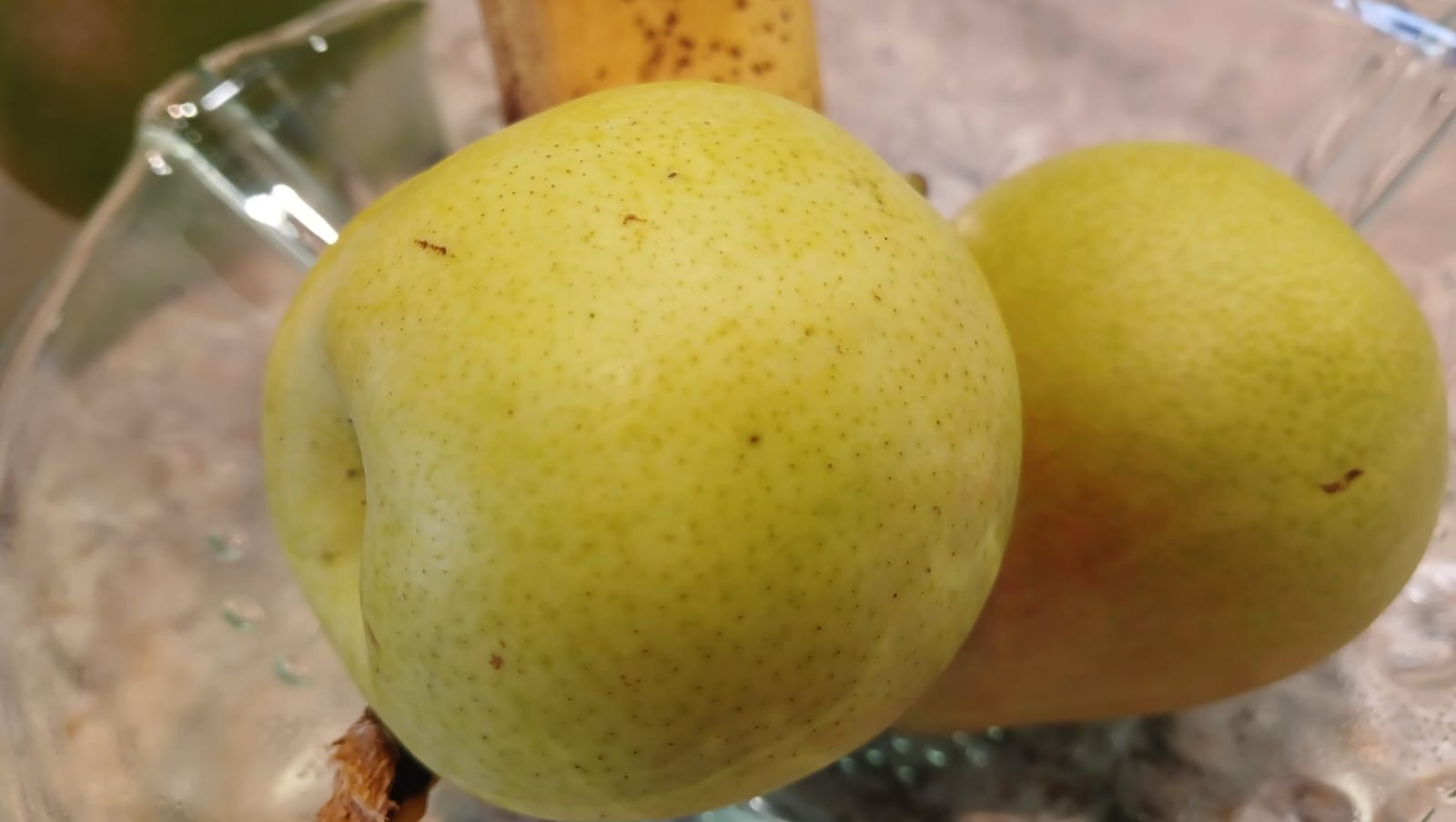 Васили Саитовой.