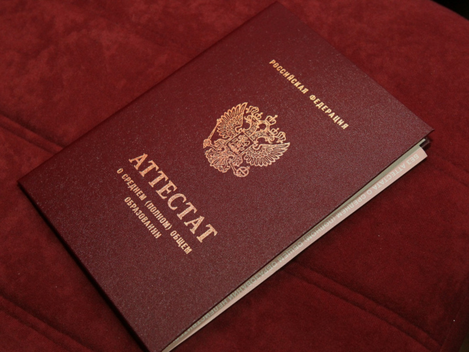 Фото Андрея Старостина.