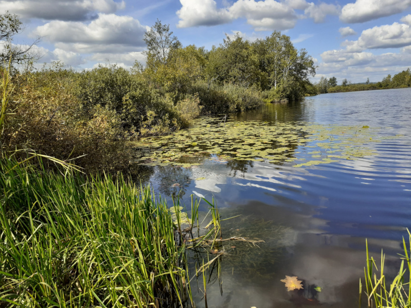 Фото автора.