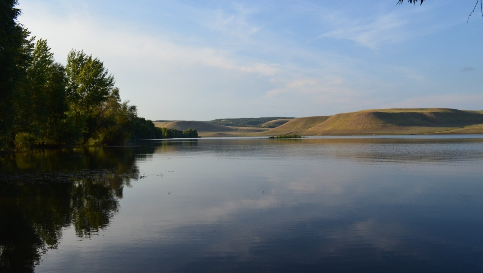Владимира Шакиева.