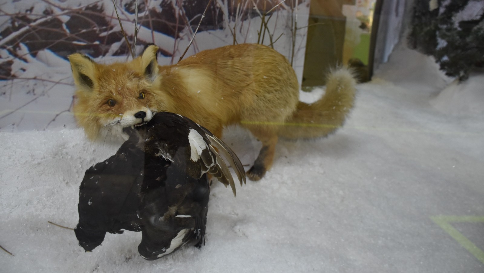 Елены Колоколовой.  "Общественная электронная газета".