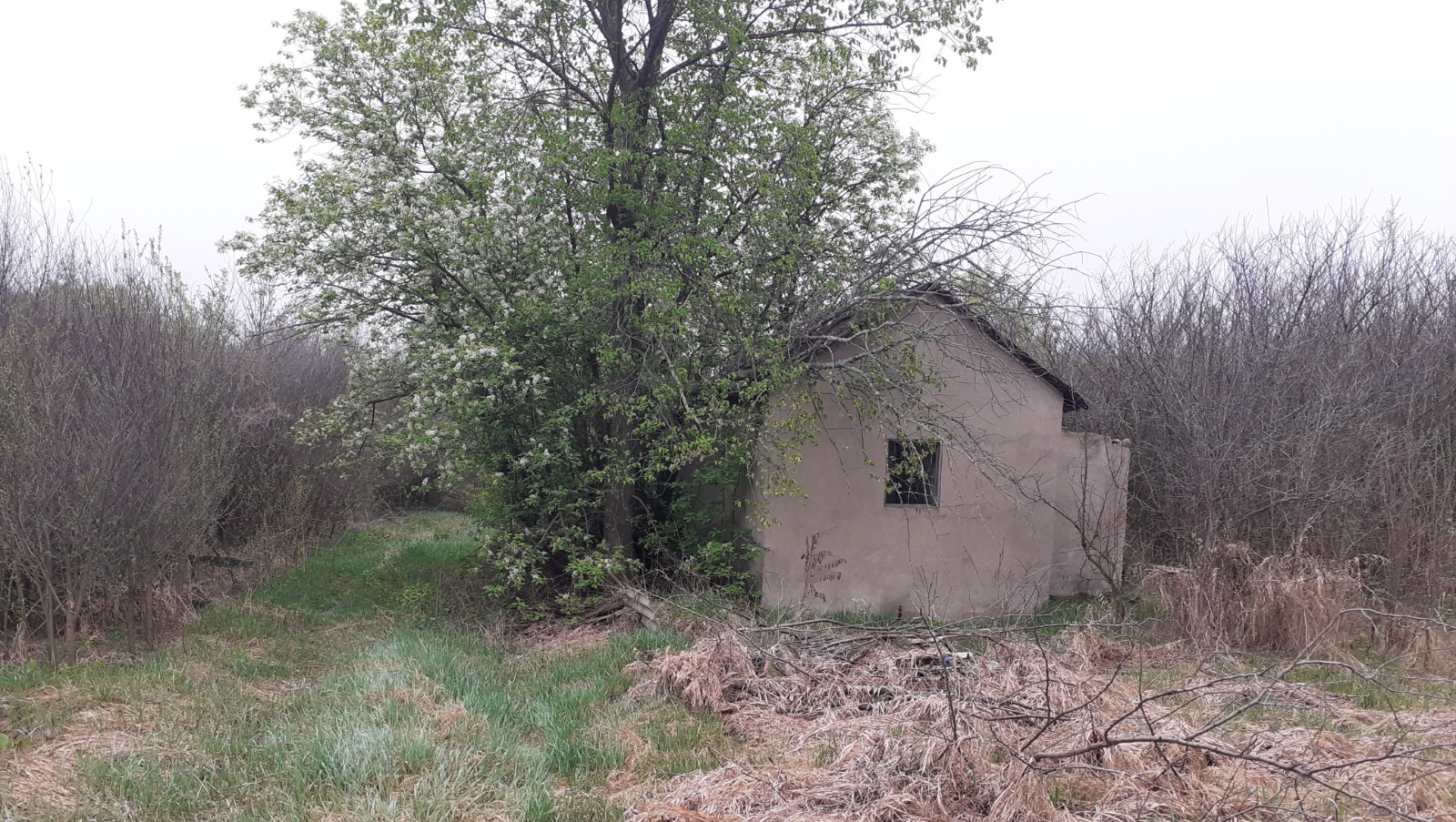 Владимира Шакиева.