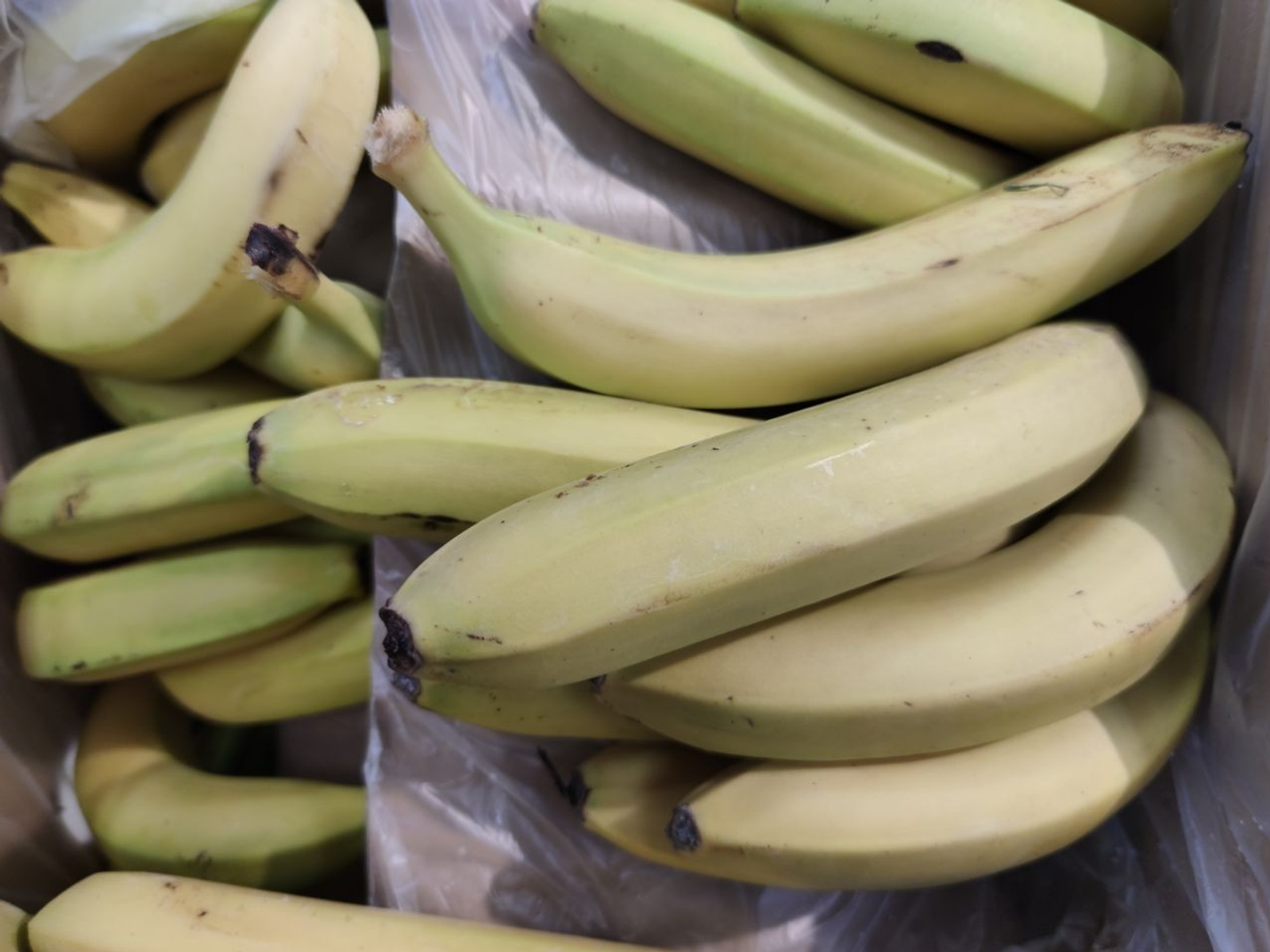 Дарьи Святохиной. «Общественная электронная газета».