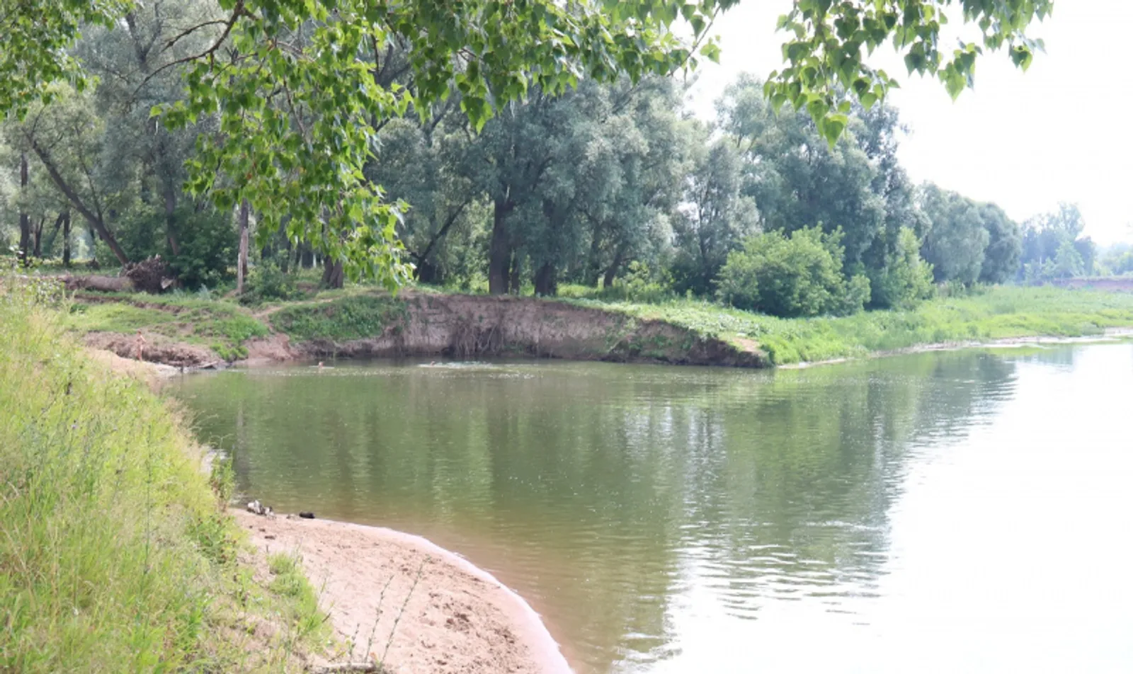 Фото автора.
