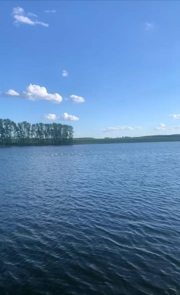 предоставлено Олегом Димитриевым.