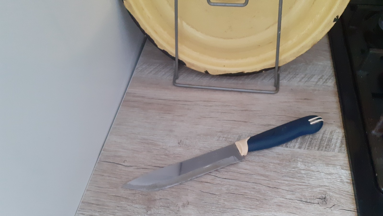 Владимира Шакиева. «Общественная электронная газета».