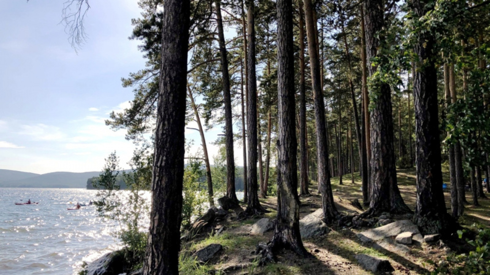 Фото автора.