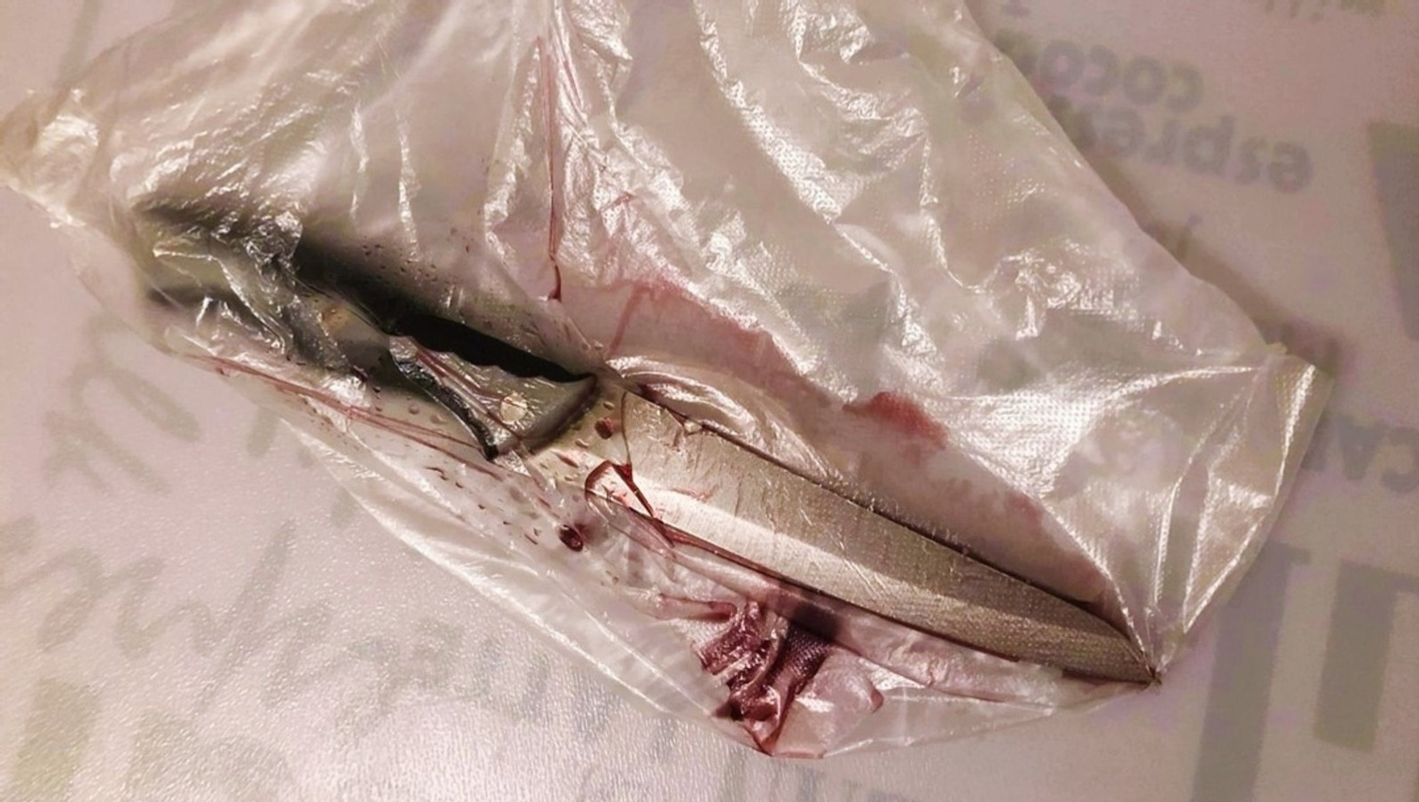 Елены Колоколовой. «Общественная электронная газета».