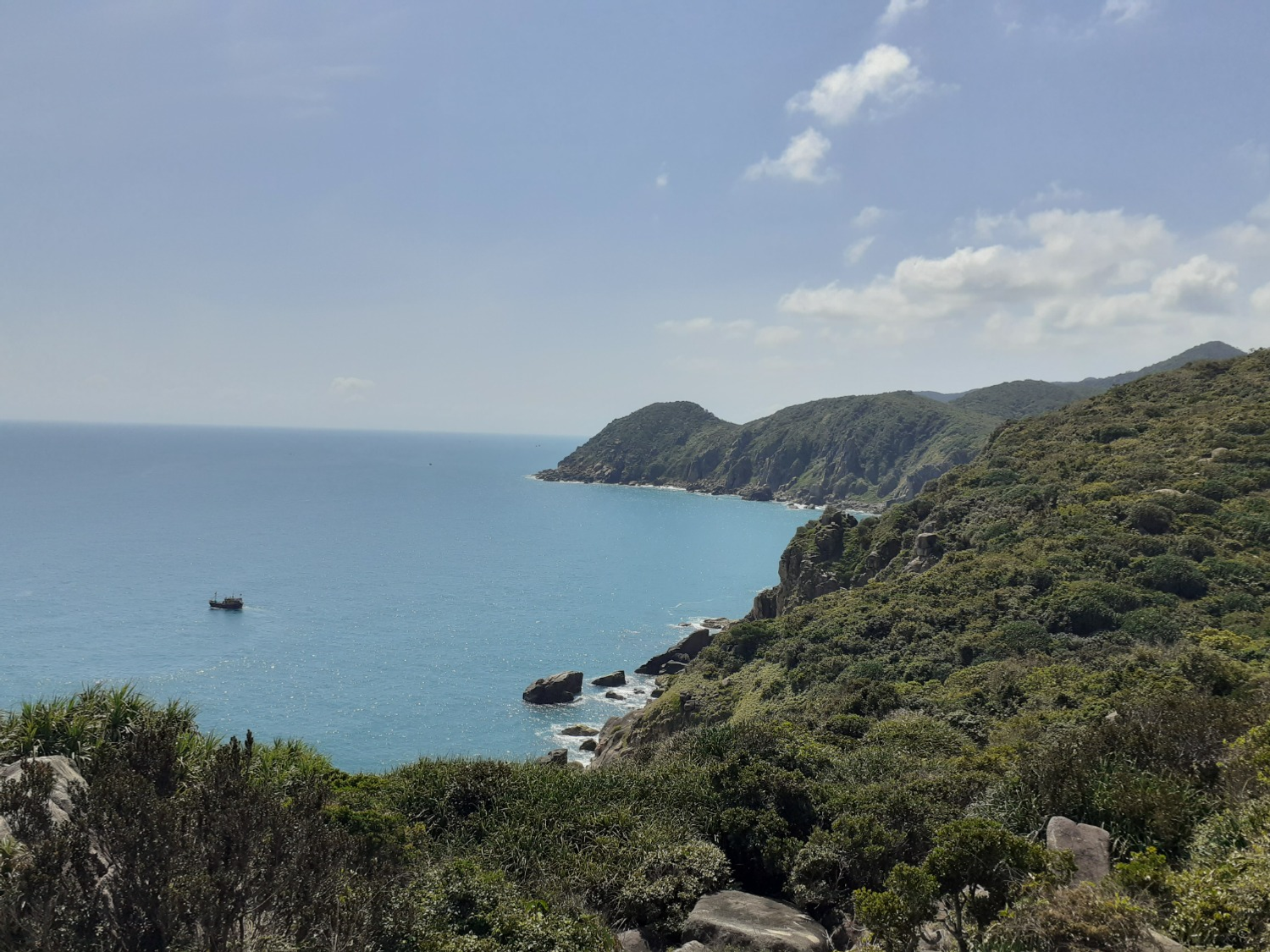 Владимира Шакиева. «Общественная электронная газета».