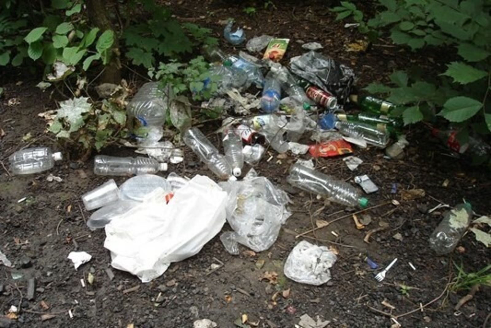 Дарьи Святохиной.