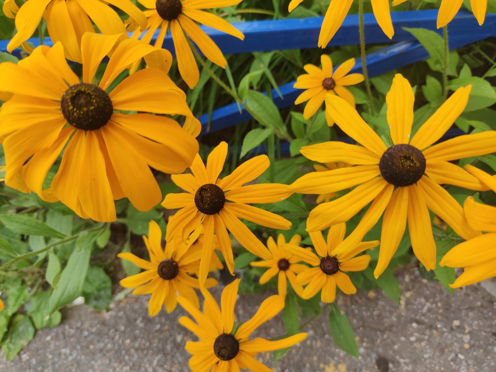 Дарьи Святохиной.