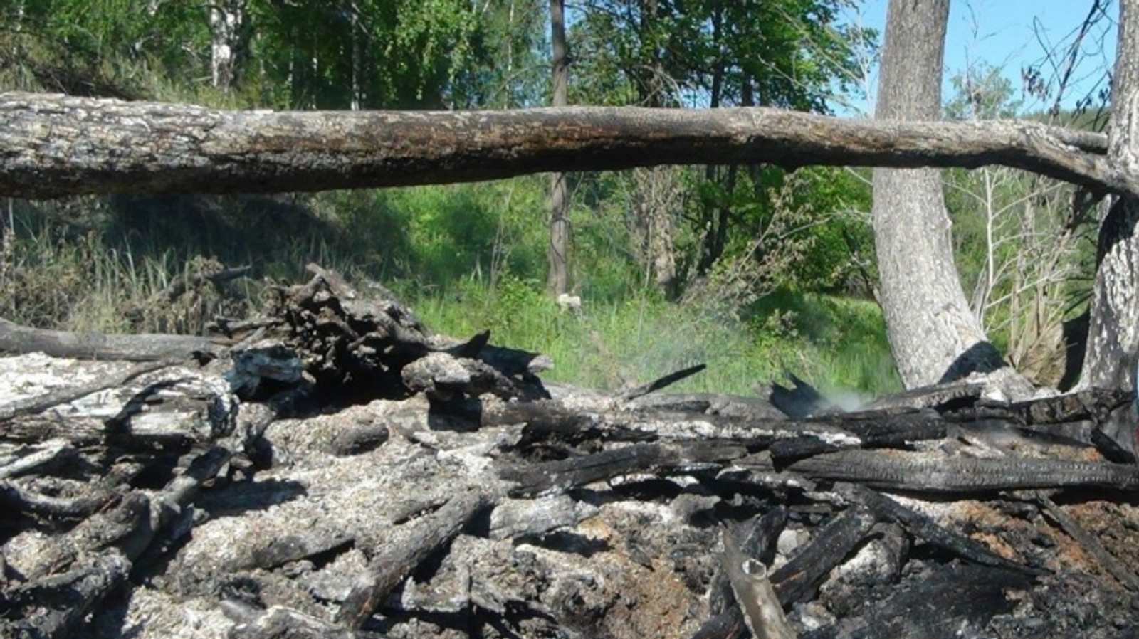 Фото автора.