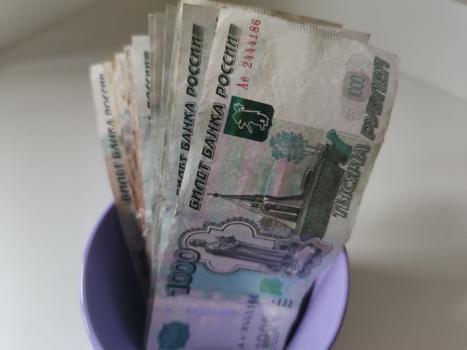 Дарьи Святохиной.