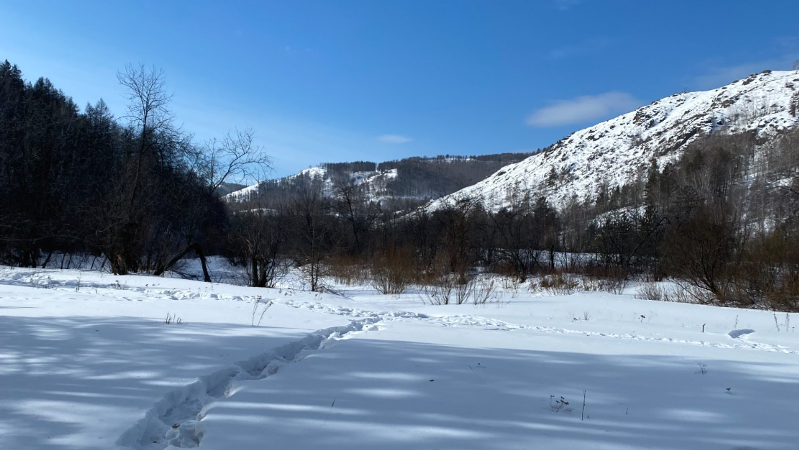 Елены Колоколовой. «Общественная электронная газета».